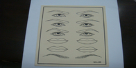 Kẻ mắt Thực hành trang điểm vĩnh viễn Tấm lót da 20,5cm X 15cm X 0,15cm