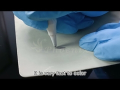 Double Needles Permanent Makeup Machine